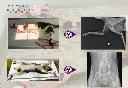 Screenshot 2026-10-29 at 13-34-03 Vetoprotec ENG - VetoprotecENG.pdf.webp
