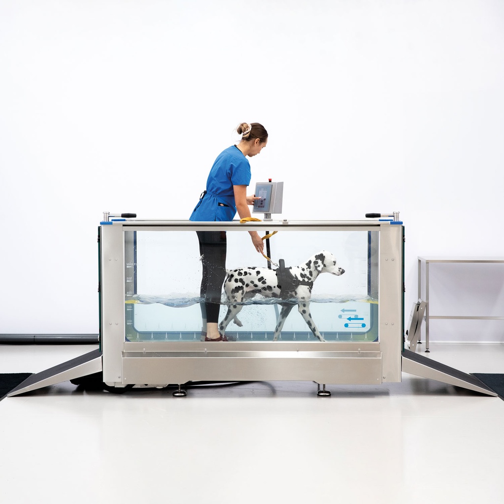 Hydro Fysio - Hydrotherapie loopband voor honden