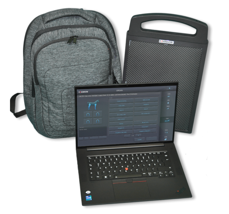 [NLEX025] EXAMION PORTABLE DR  MEDIUM PLUS