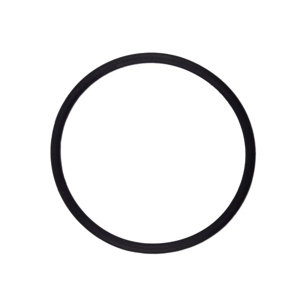 [E21304008] Afdichtingsring voor het deksel van het inademings- en uitademingsventiel van de NarkoVet PRO