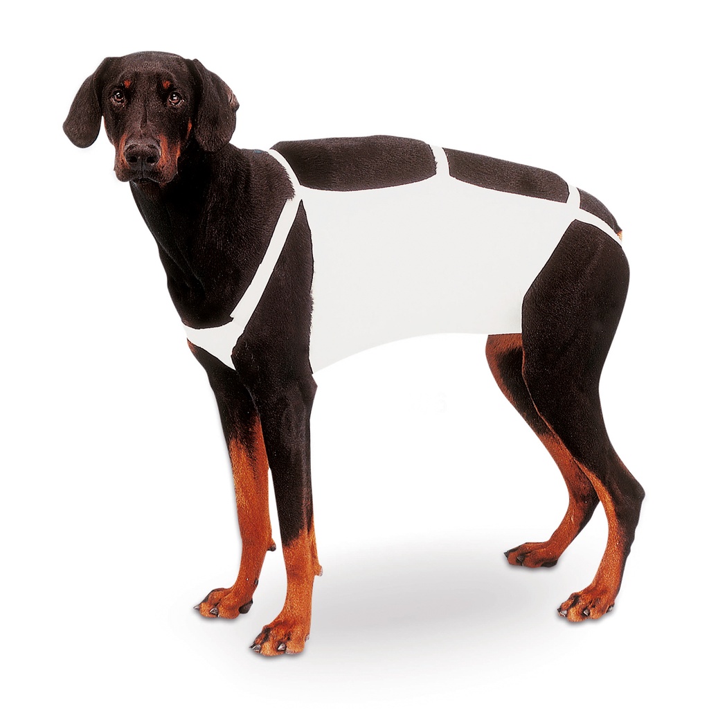 buikverband Luitchner, Gr. 6, grote doggen, lengte 67 cm, breedte 25 cm 
