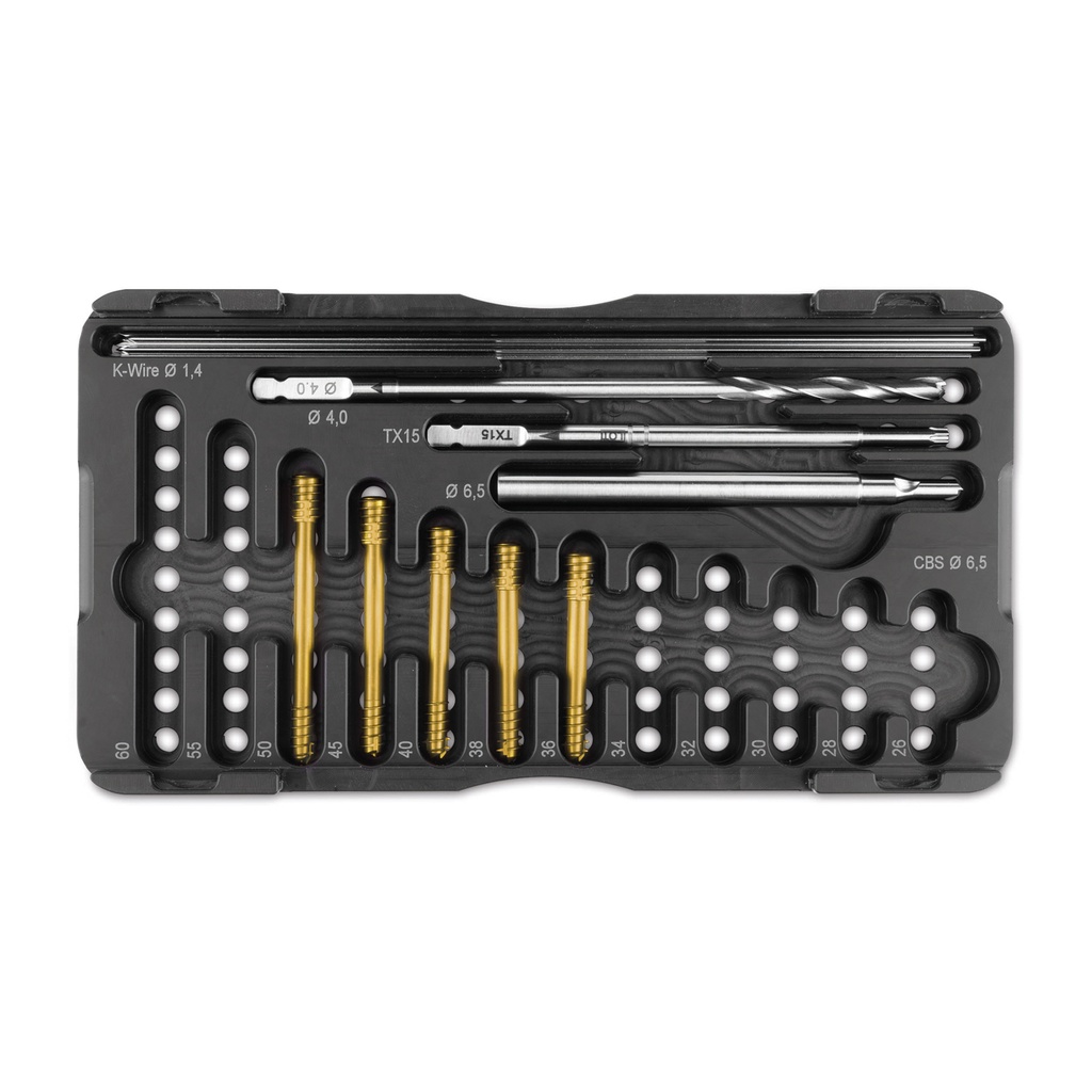 CBS 6.5 schroeven - Set hond Large, bestaand uit: 5x1 schroeven 36-50mm, schroevendraaiermes TX15, gecannuleerd,