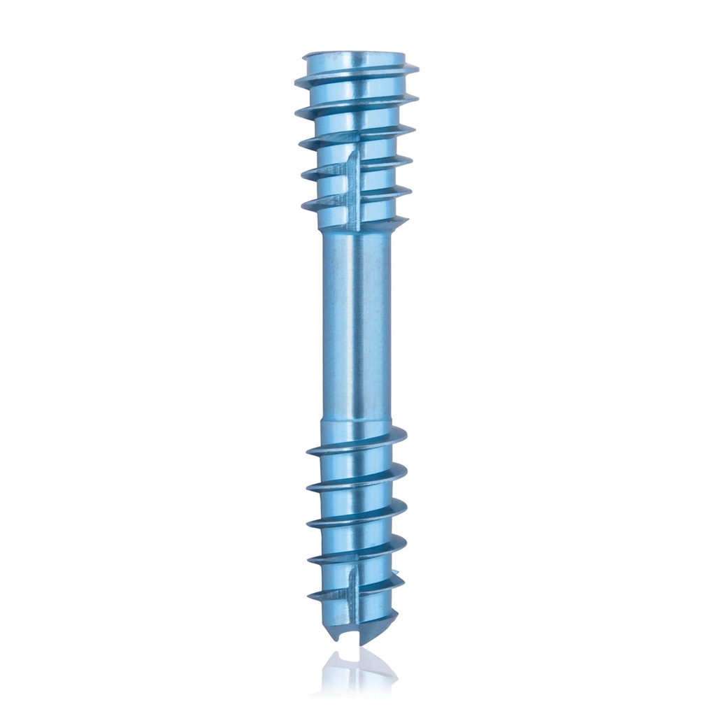 CBS Ø5.5 compressies - schroef, TX 10, gecannuleerd, 26mm 