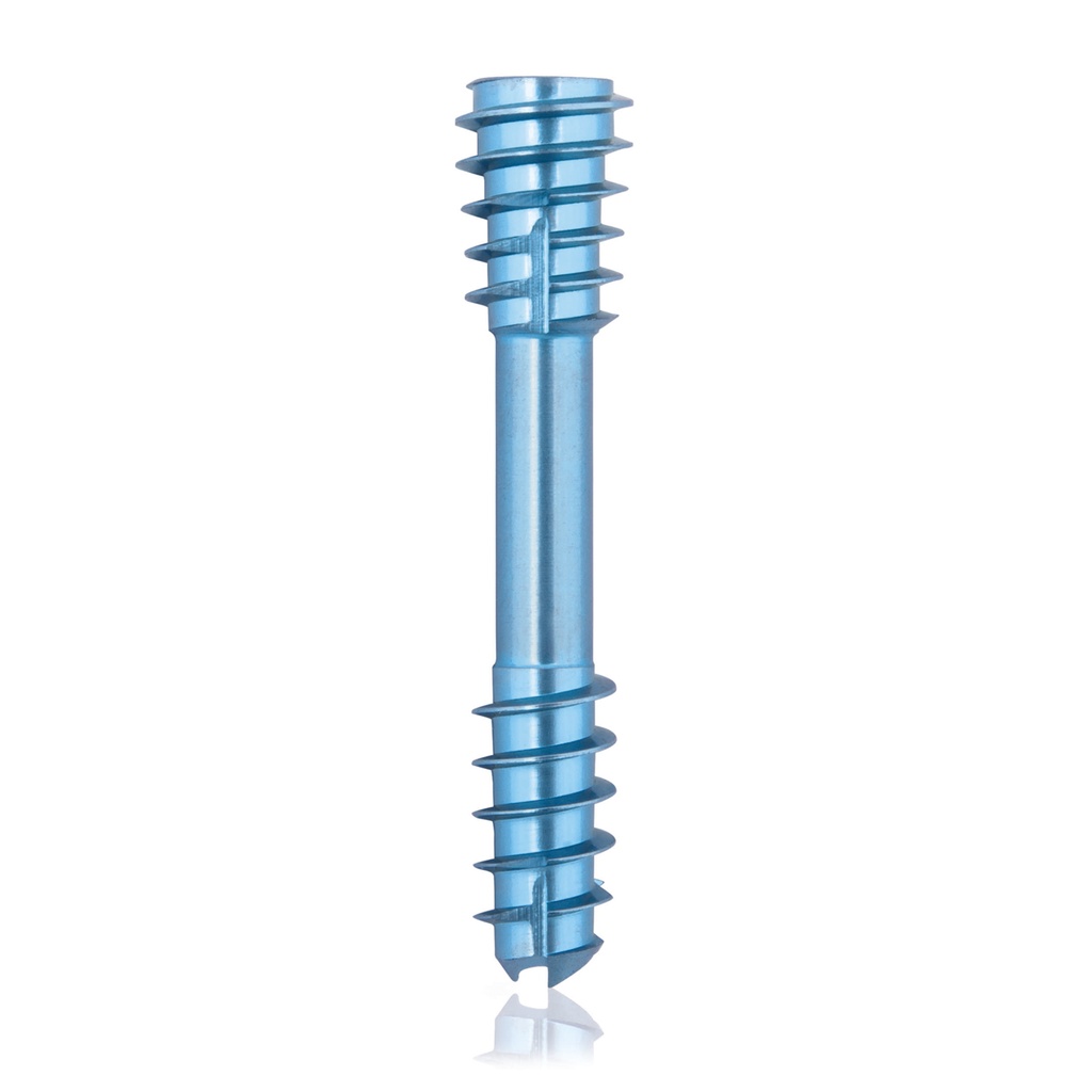 CBS Ø5.5 compressies - schroef, TX 10, gecannuleerd, 28mm 