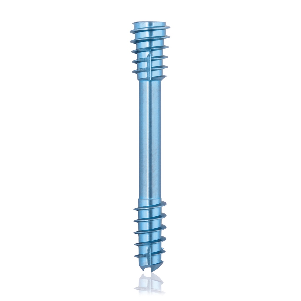CBS Ø5.5 compressies - schroef, TX 15, gecannuleerd, 34mm 