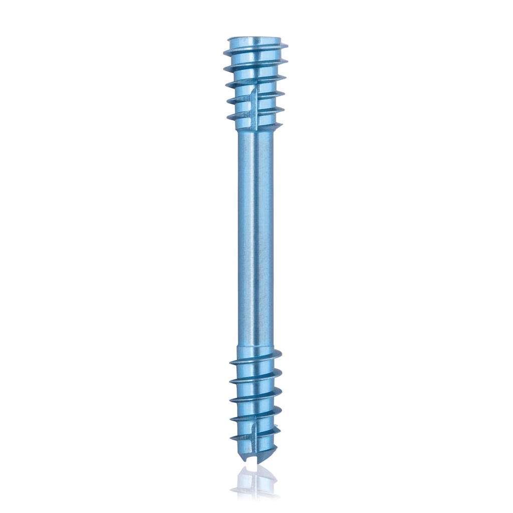CBS Ø5.5 compressies - schroef, TX 15, gecannuleerd, 36mm 