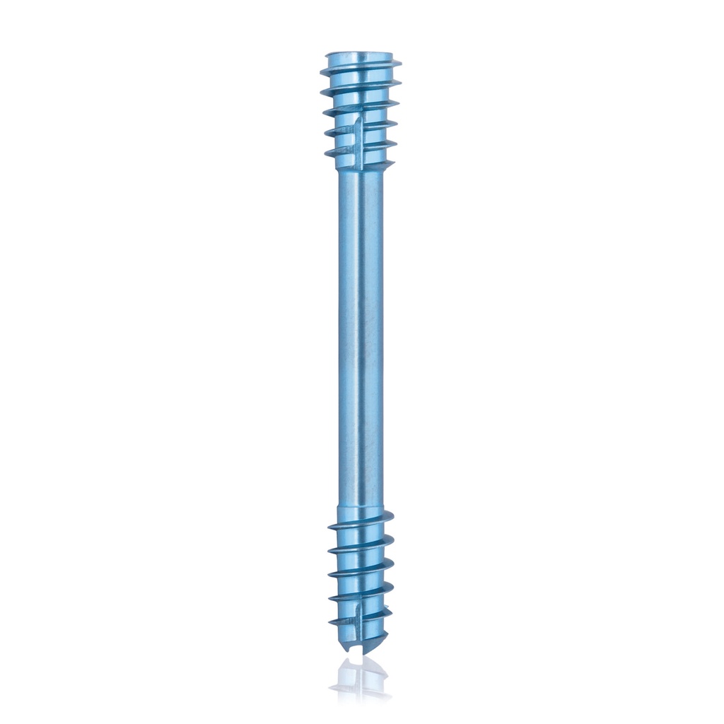 CBS Ø5.5 compressies - schroef, TX 15, gecannuleerd, 40mm 