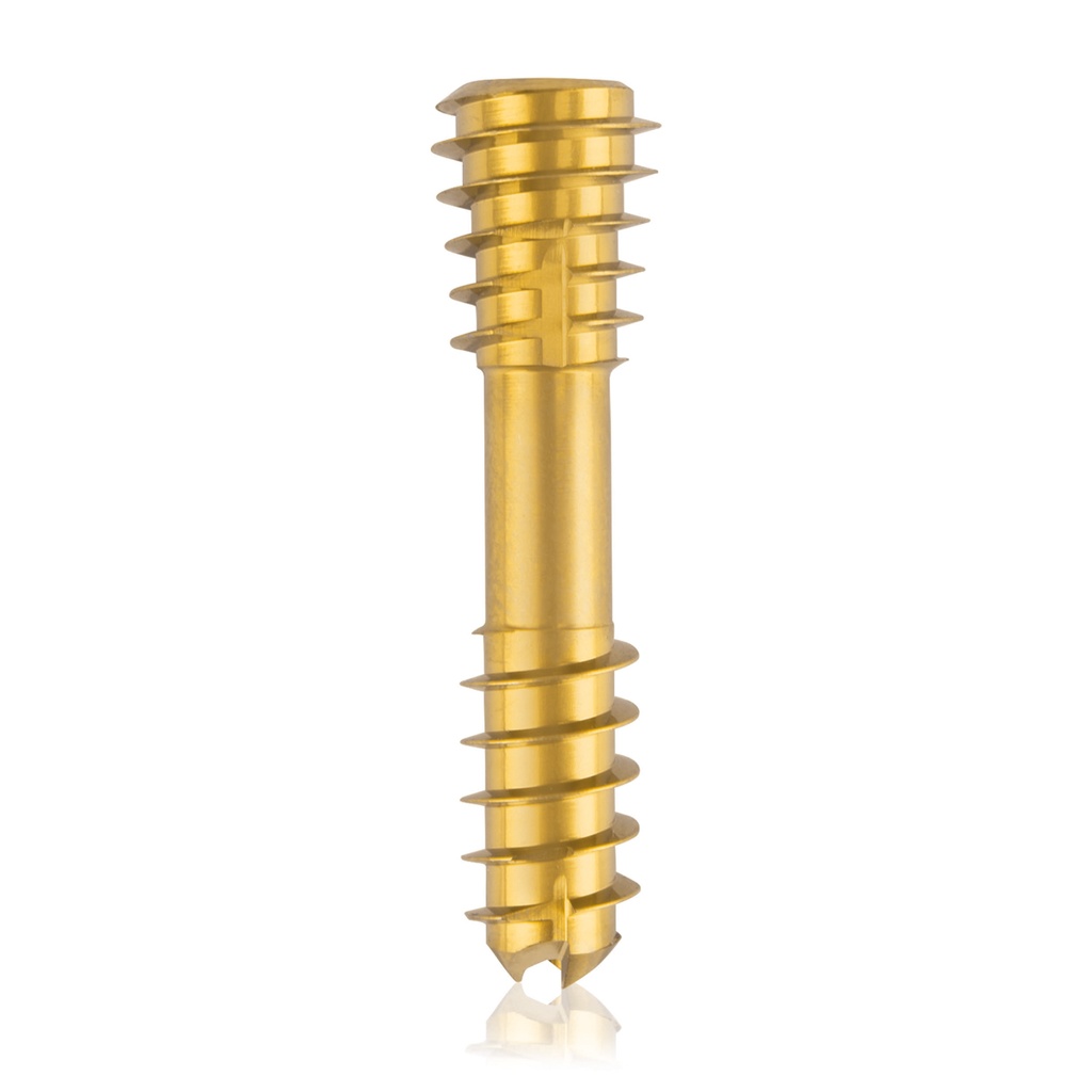 CBS Ø6.5 compressies - schroef, TX 15, gecannuleerd, 26mm 