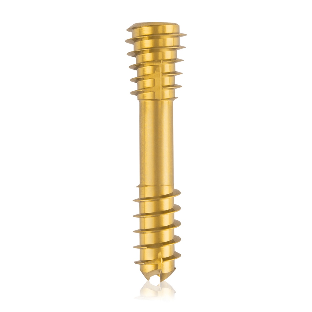 CBS Ø6.5 compressies - schroef, TX 15, gecannuleerd, 28mm 