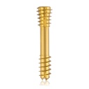 CBS Ø6.5 compressies - schroef, TX 15, gecannuleerd, 30mm 