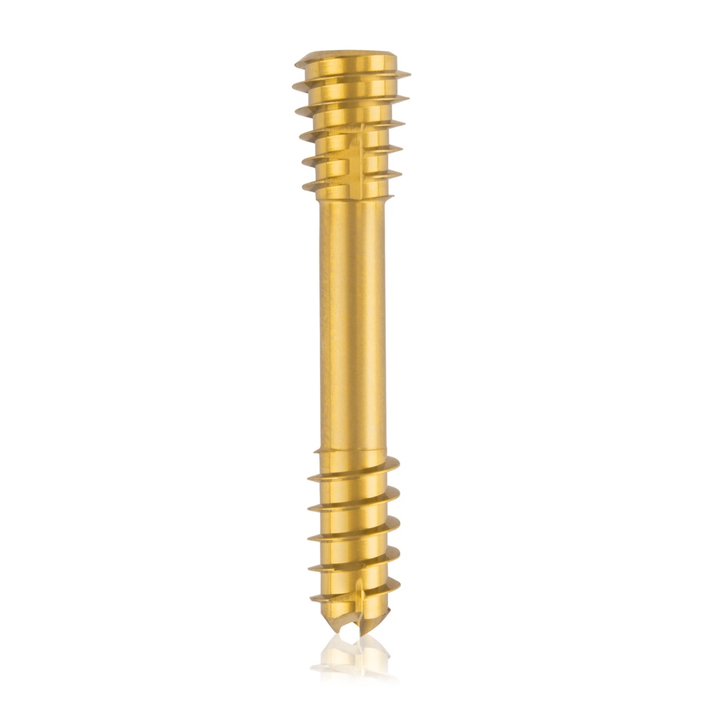 CBS Ø.5 compressies - schroef, TX 15, gecannuleerd, 32mm 