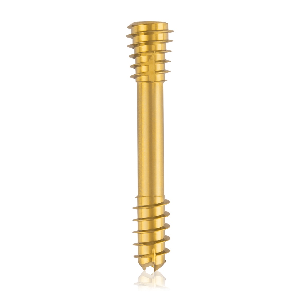 CBS Ø6.5 compressies - schroef, TX 15, gecannuleerd, 34mm 