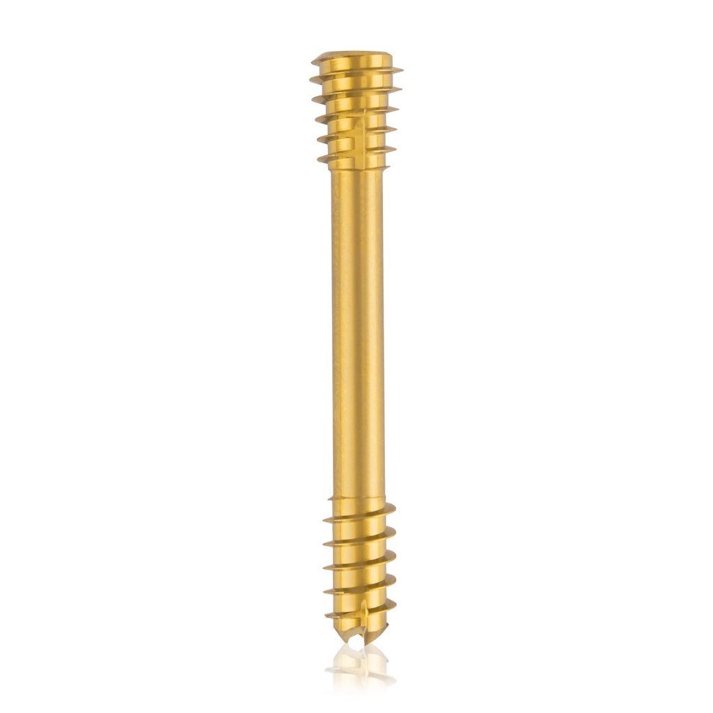CBS Ø6.5 compressies - schroef,  TX 15, gecannuleerd, 45mm 