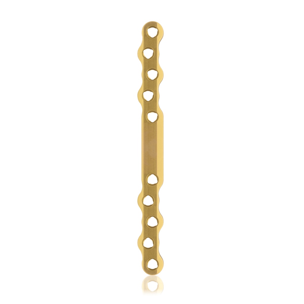 [187755] Eickloxx S-type botplaat 10- gats 120 x 10 x 4,5mm. titaniumium, goud