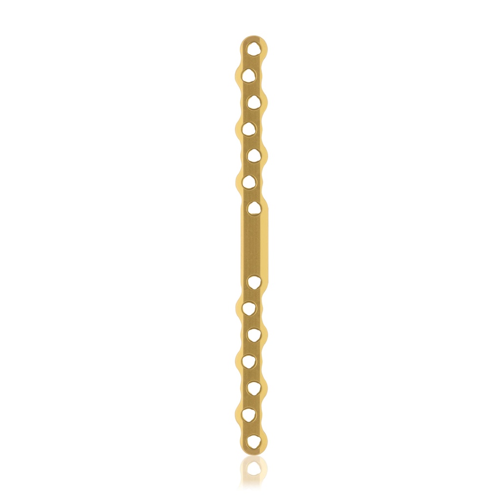 [187757] Eickloxx S-type botplaat 14- gats 160 x 10 x 4,5mm. titaniumium, goud