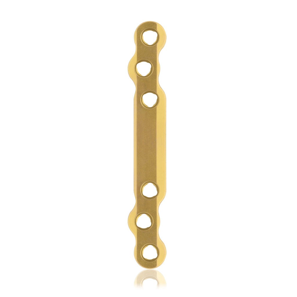 [187751] Eickloxx S-type botplaat 6-gats  80 x 10 x 4,5 mm, titanium, goud
