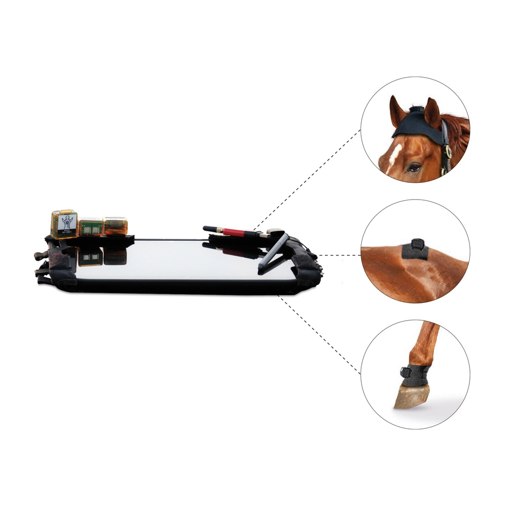 Equinosis lameness detector  