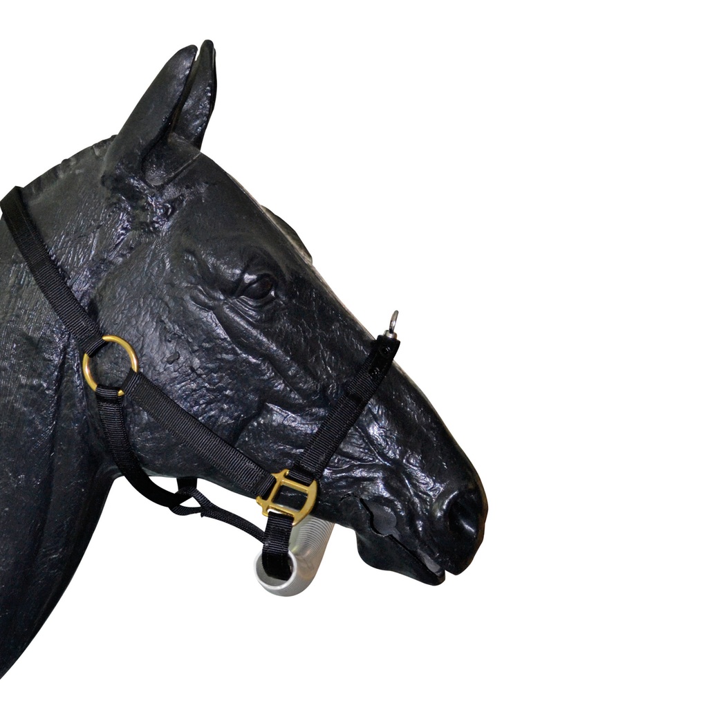 Nylon halster met haak op neusriem WWE Nr. 810-2376 