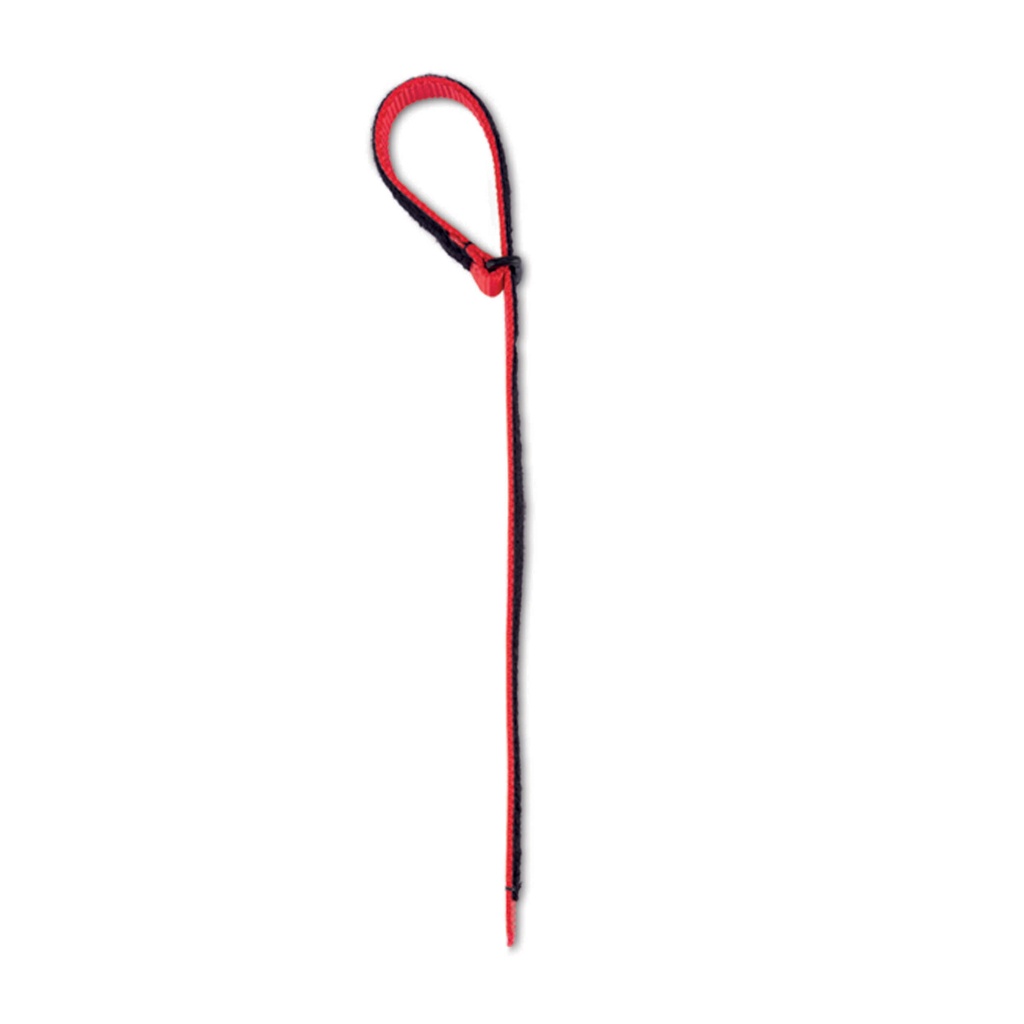 Strap voor Pawsitioner rood groot  