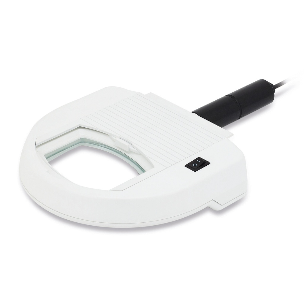 Woodse Lamp Eickemeyer  