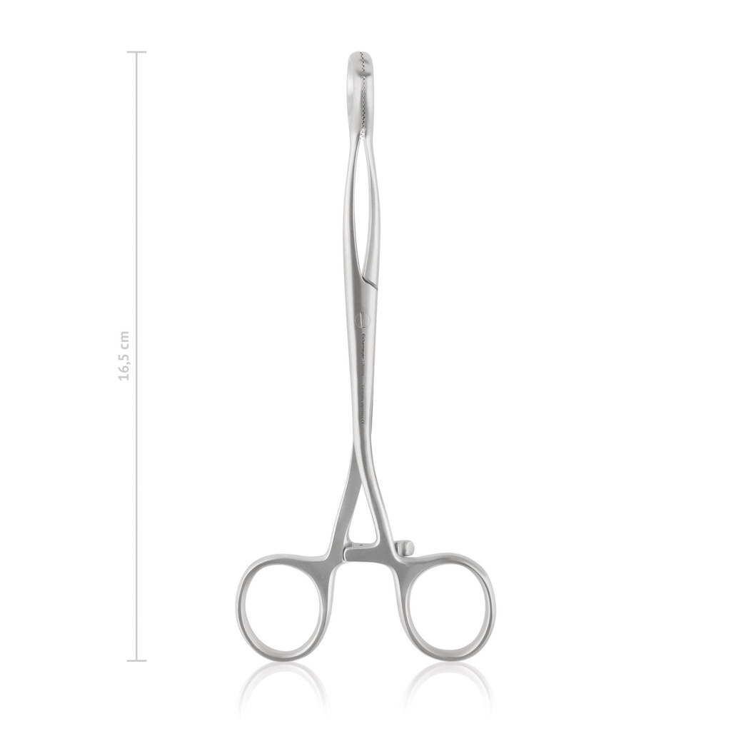 tongtang met Collin, 16,5 cm  