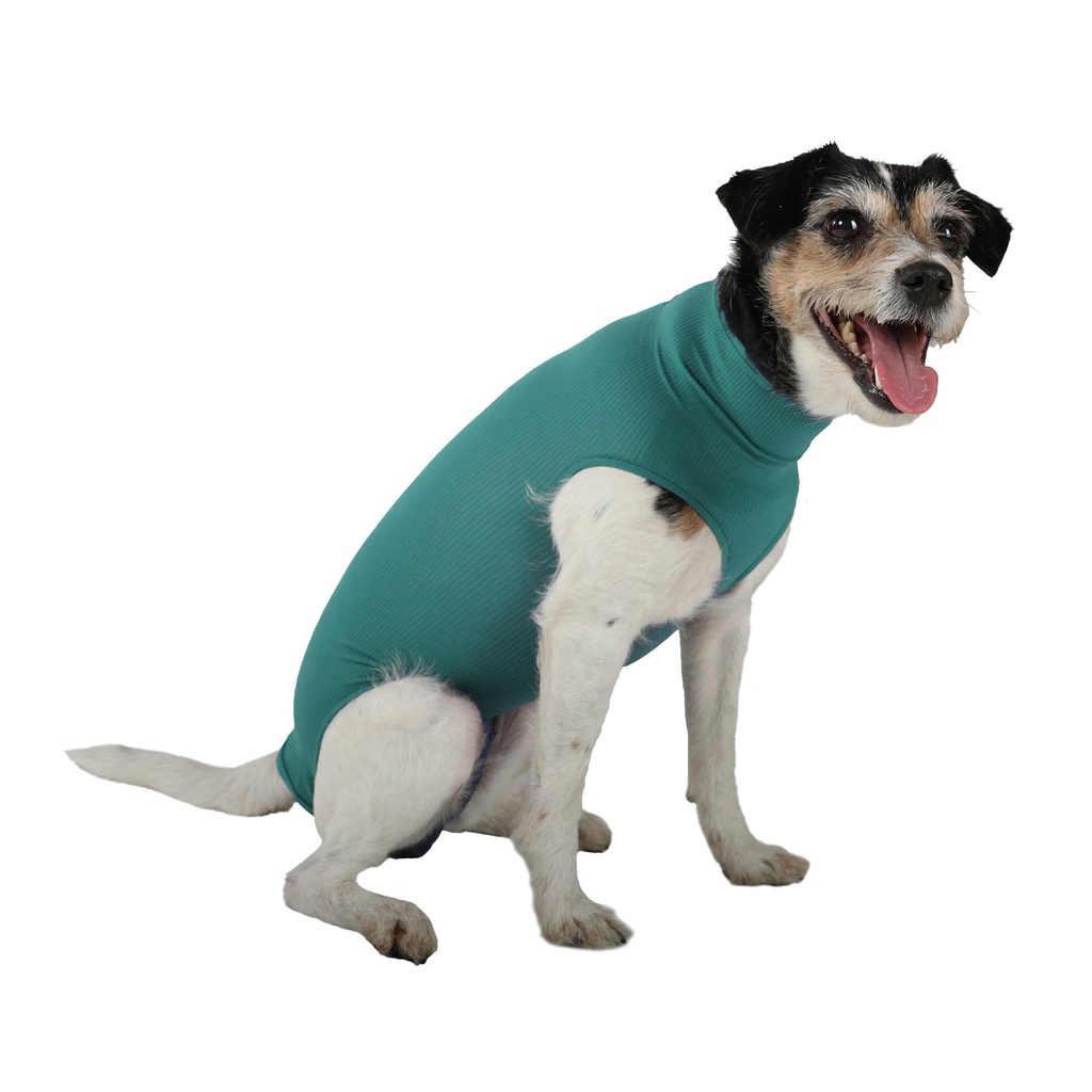 [VMC10014] VetMedCare hondenkleding, basic, maat L, voor teven