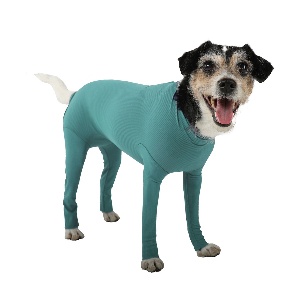 [VMC12028] Hondenkleding met poten, maat S plus, voor reutjes