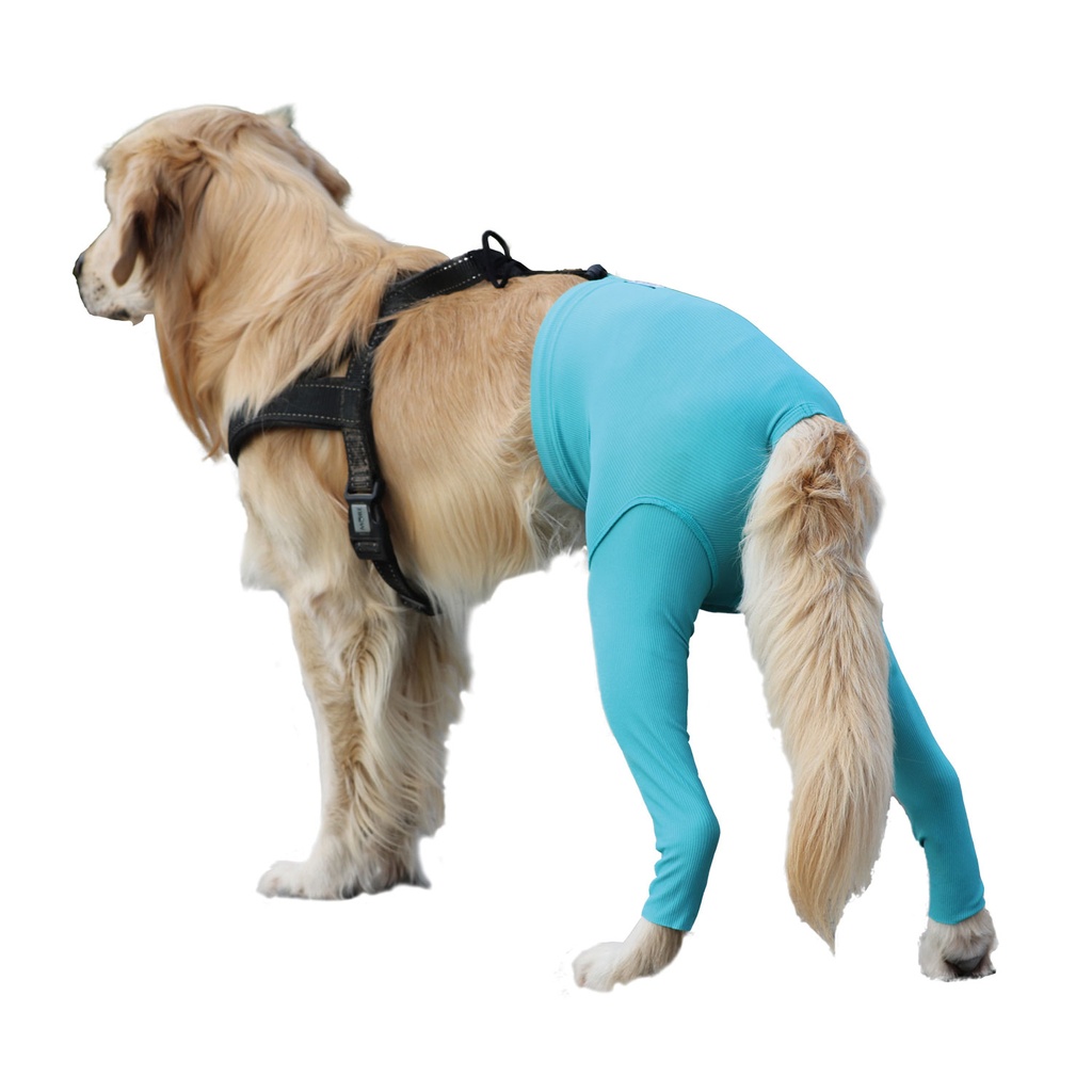 [VMC13015] VetMedCare® Veiligheidsbroek Grote XL/XXL