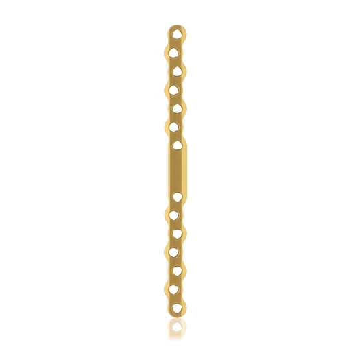 [187757] Eickloxx S-type botplaat 14- gats 160 x 10 x 4,5mm. titaniumium, goud