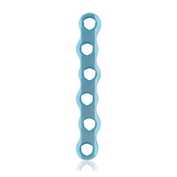 [187740] Eickloxx S-type botplaat 6- gats (L 60)