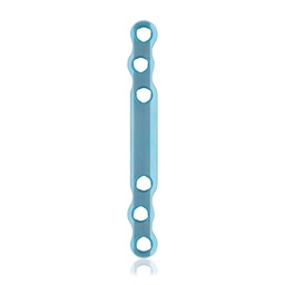 [187741] Eickloxx S-type botplaat 6- gats (L 80)