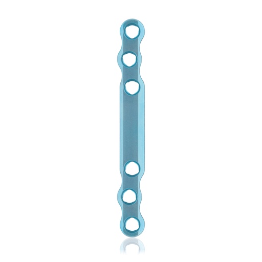 [187741] Eickloxx S-type botplaat 6- gats (L 80)