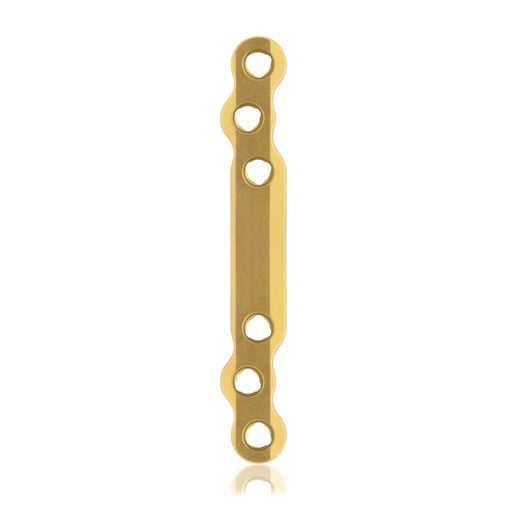 [187751] Eickloxx S-type botplaat 6-gats  80 x 10 x 4,5 mm, titanium, goud